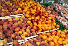 Weekendissimi: fino al 26 luglio, 40% di sconto su tutte le pesche e le nettarine Weekendissimi: fino al 26 luglio, 40% di sconto su tutte le pesche e le nettarine