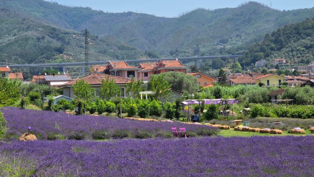 La Via delle erbe e dei fiori