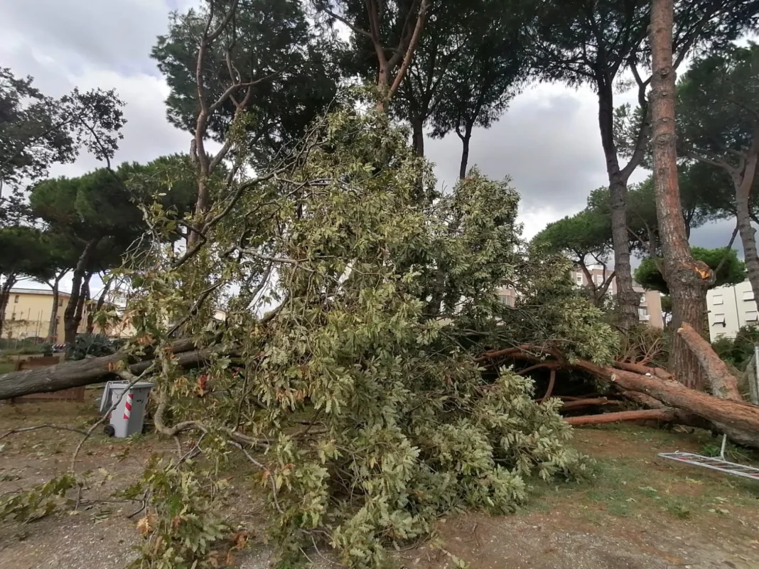 Parco La Fenice